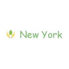 new-york.name