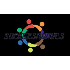 socialsnomics.com
