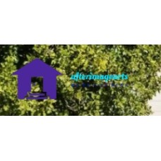 afterimagearts.com