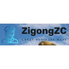 zigongzc.com