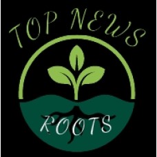 topnewsroot.com