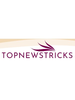 Buy a Guest Post on topnewstricks.com