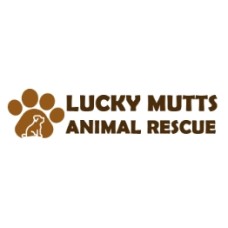 luckymuttsanimalrescue.com