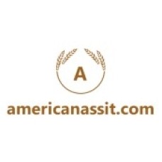 americanassit.com