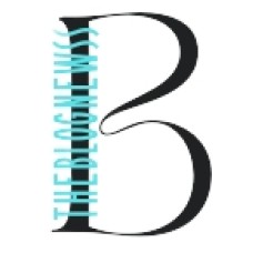 theblognewss.com