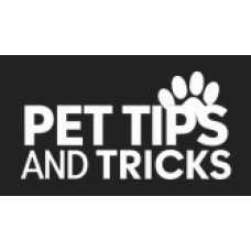 pettipsandtricks.com