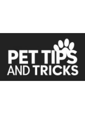 Buy a Guest Post on pettipsandtricks.com
