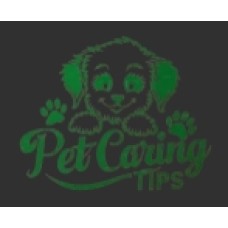 petcaringtips.com