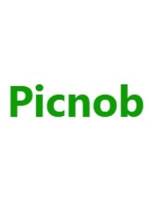 Buy a Guest Post on picnob.uk
