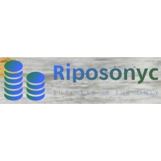 riposonyc.com