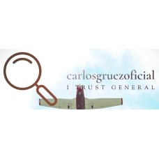 carlosgruezoficial.com