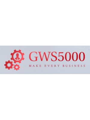 Buy a Guest Post on gws5000.com