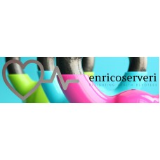 enricoserveri.com
