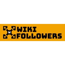 wikifollowers.com