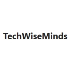 techwiseminds.com