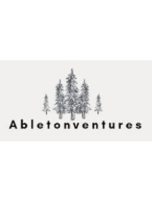 Buy a Guest Post on abletonventures.com