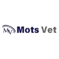 motsvet.com