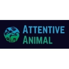 attentiveanimal.com