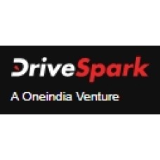 drivespark.com