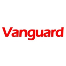vanguardngr.com