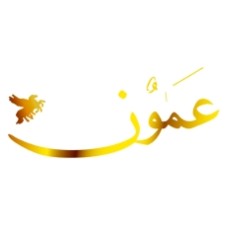 ammonnews.net