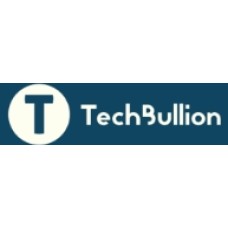 techbullion.com