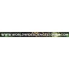 worldwidesciencestories.com
