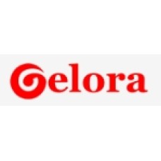 gelora.co