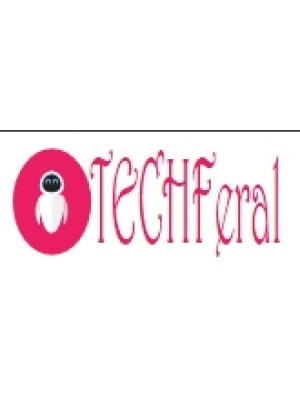 Buy a Guest Post on techferal.com