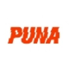 puna.nl