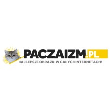 paczaizm.pl