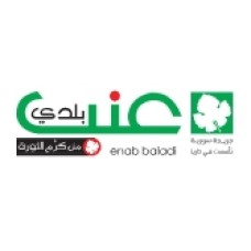 enabbaladi.net