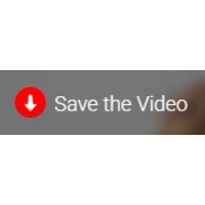 savethevideo.net