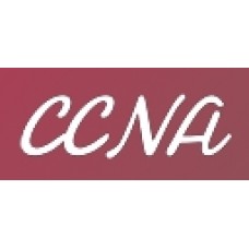 ccnadesdecero.es