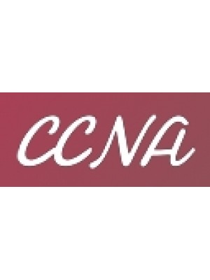 Buy a Guest Post on ccnadesdecero.es