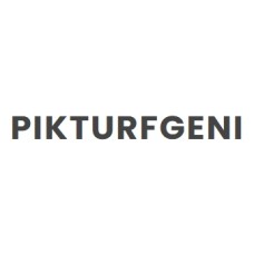 pikturfgeni.com