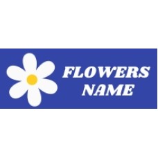 flowersname.co