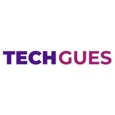 techgues.net