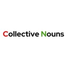 allcollectivenouns.com