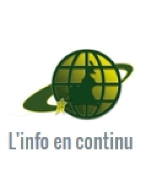 Buy a Guest Post on cameroun24.net