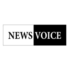 newsvoice.se