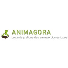 animagora.fr