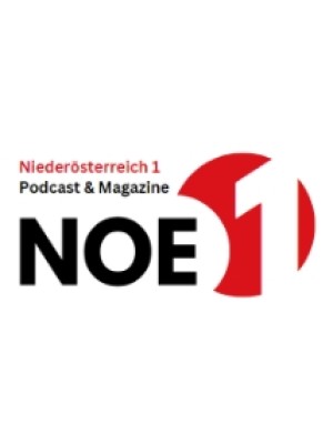 Buy a Guest Post on noe1.at