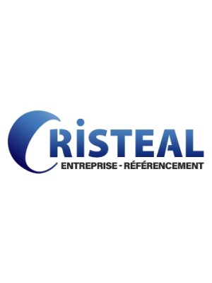 Buy a Guest Post on cristeal.com