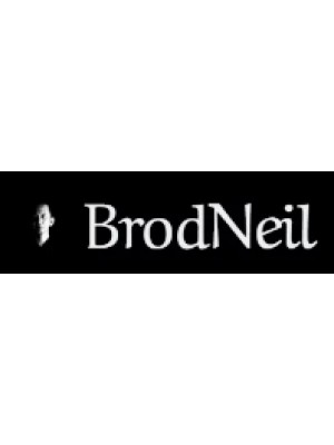 Buy a Guest Post on brodneil.com
