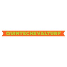 quintechevalturf.com