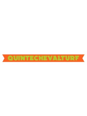 Buy a Guest Post on quintechevalturf.com