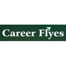 careerflyes.com
