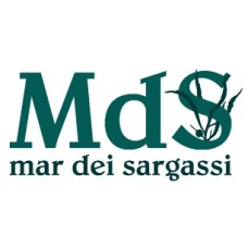 mardeisargassi.it