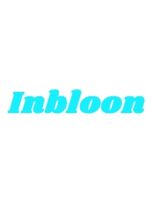 Buy a Guest Post on inbloon.com